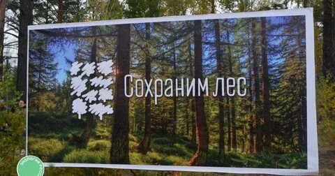 Сохраним лес
