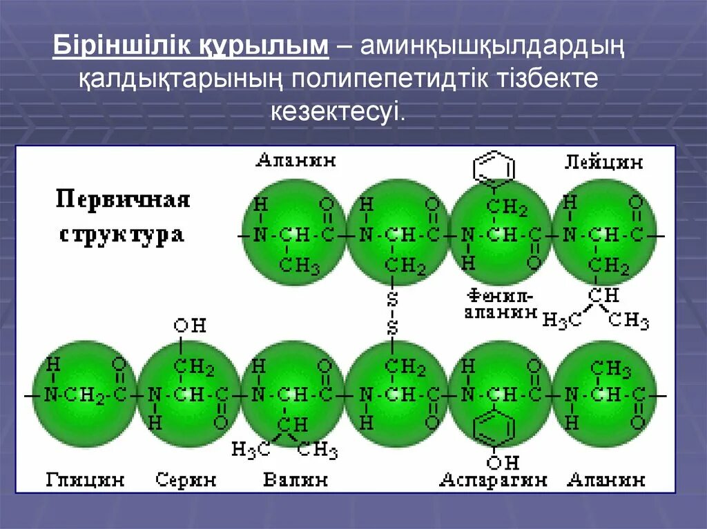 Ақуыздардың құрылысы мен қызыметі презентация онлайн
