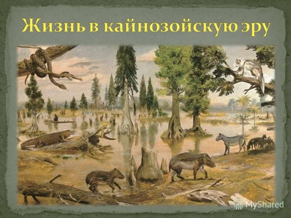 мезозойская эра птицы. вымирание динозавров период мезозоя. расцвет динозавров эра. мезозойская эра. птицы произошли от архозавров.