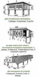 Размеры клеток кроликам своими руками чертежи