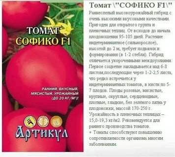 Томаты жрица описание сорта отзывы