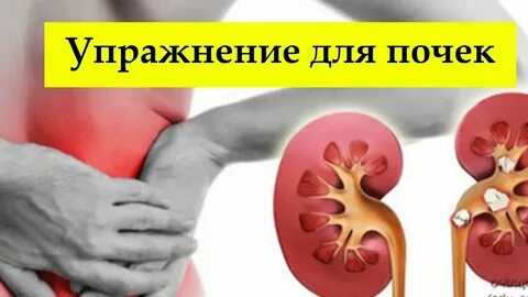 Упражнения для почек