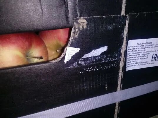 Запрет на ввоз яблок. Мем контейнер яблок.