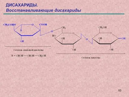 Фруктоза дисахарид