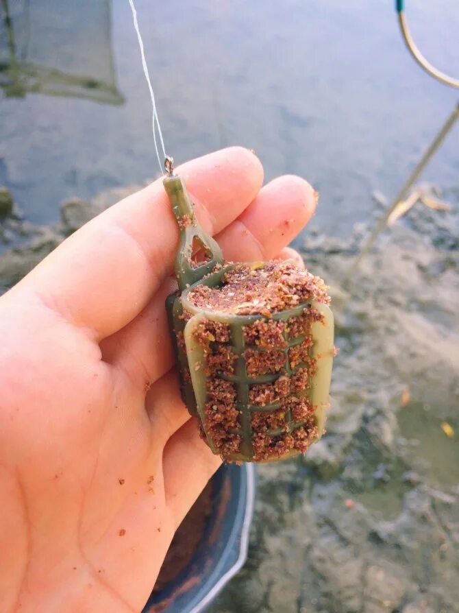 Снасть на жмых. Оснастка жмыховка. жмых макуха. снасть для макухи. макушатник жмыховка.