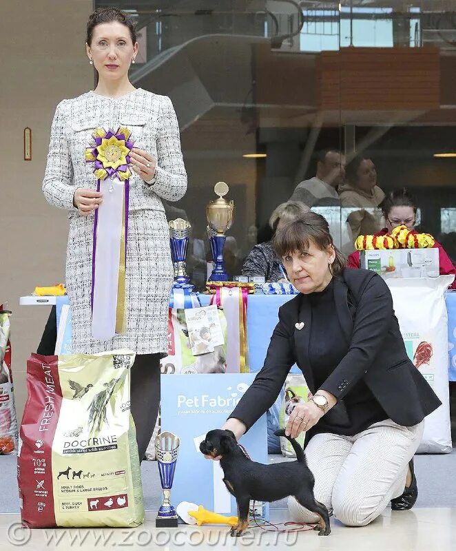 Зоокурьер выставки собак 2024 в санкт петербурге. Экспофорум спб выставка собак. Спб роо кц северная венеция. Зоокурьер выставки собак 2024 в санкт петербурге. Зоокурьер выставки собак 2024 в санкт петербурге.