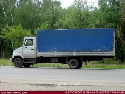 Бычок характеристики