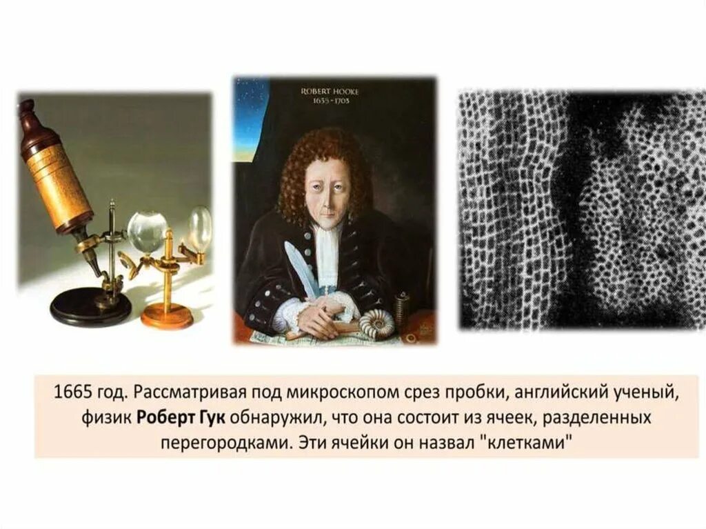Сообщение о гуке. Сообщение о гуке