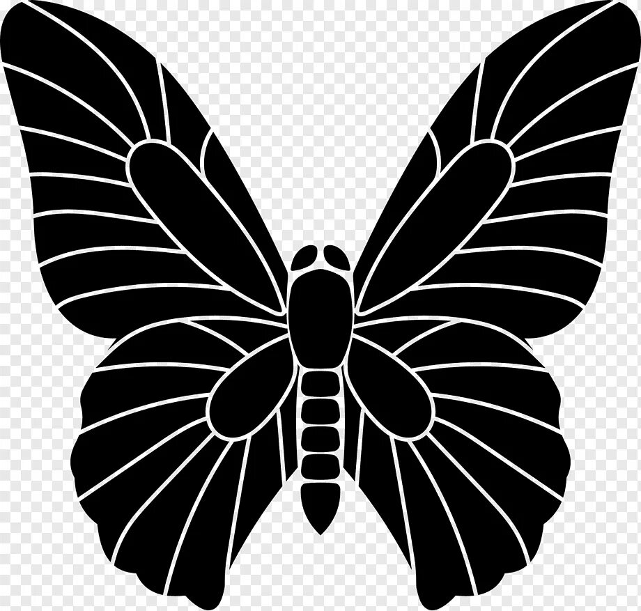 Простые крылья бабочки. Крылья бабочки. Векторное изображение бабочки. Векторная Графика бабочка. Силуэт бабочки.
