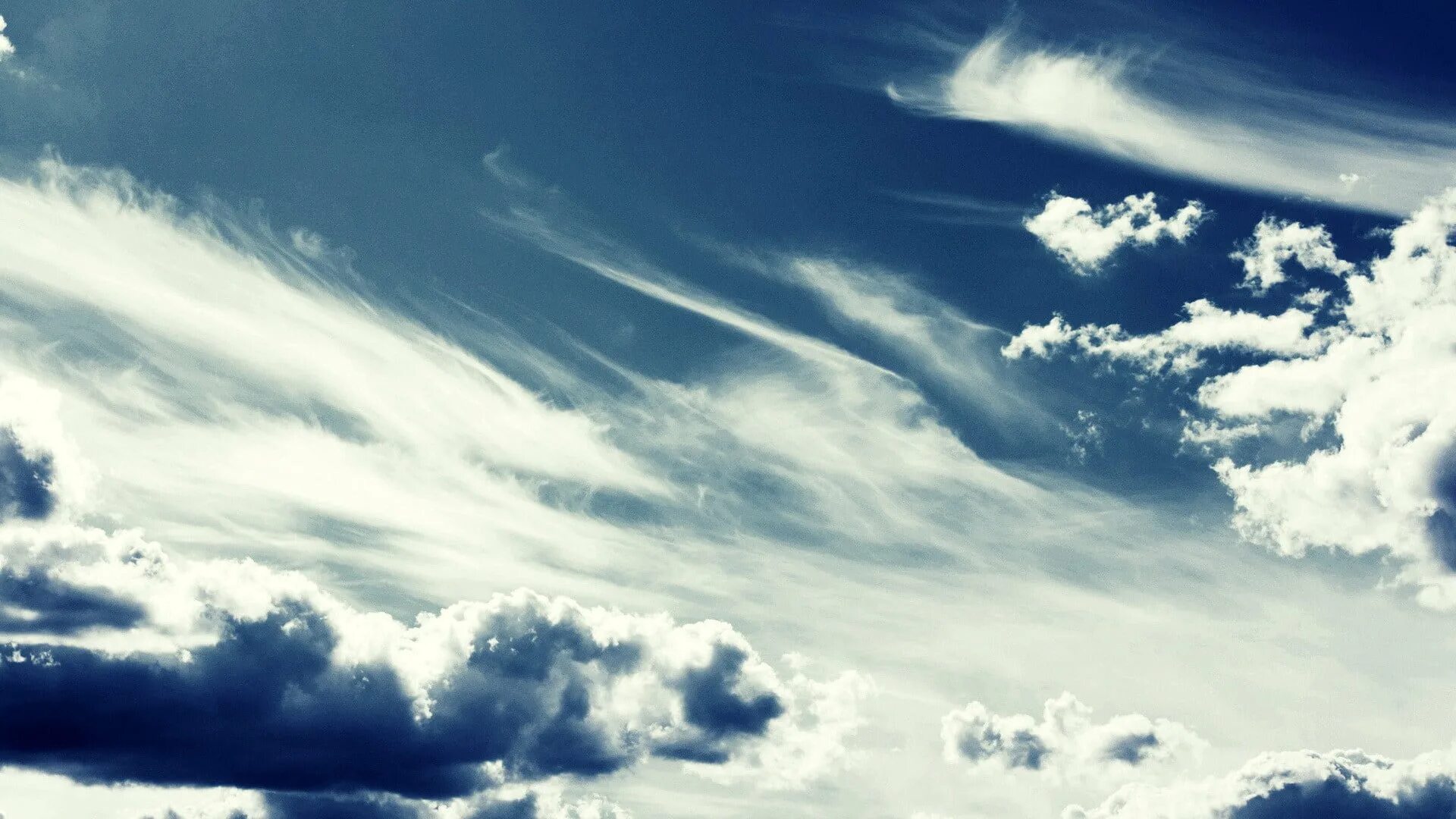 Wind cloud