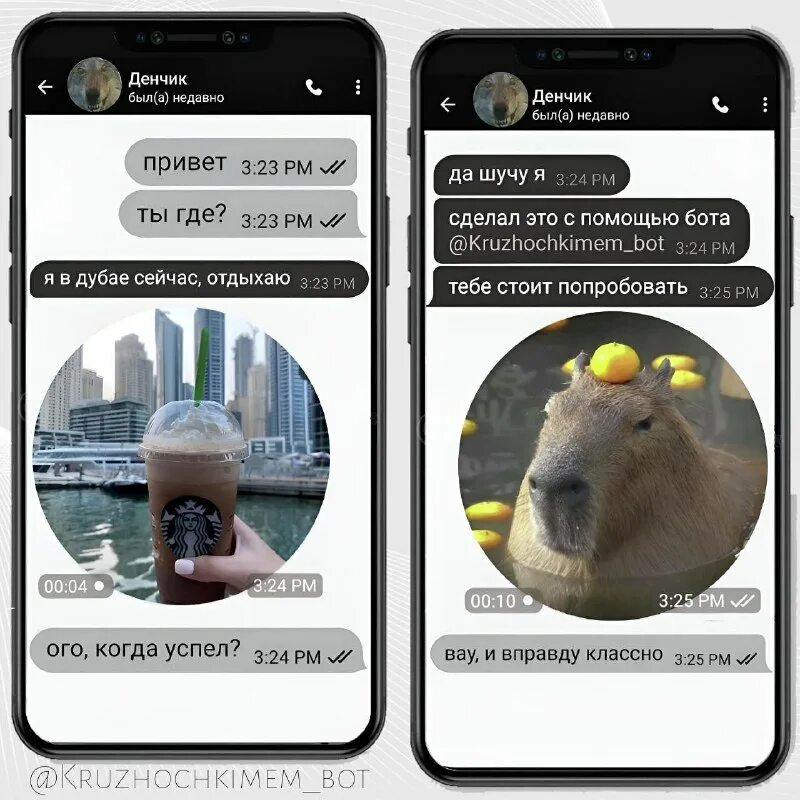 Тг кружочки бот который делает из видео. Как записать видеосообщение в телеграмме. Видеосообщения в телеграм. Как в телеграмм найти боот. Телеграмм интерфейс.
