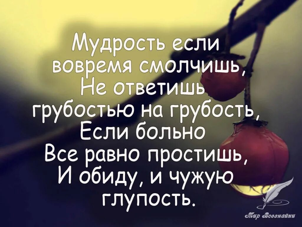 Грубость и невоспитанность