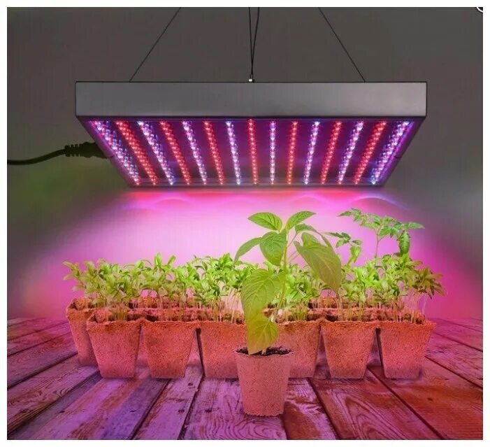 Какая лампа для рассады лучше в домашних. Агролюкс лампа светодиодная для растений. Фитолампа светодиодная д/растений е27 5вт 24шт bioгрядка. Фитолампа ip65. Фитолампа Эра-14w.