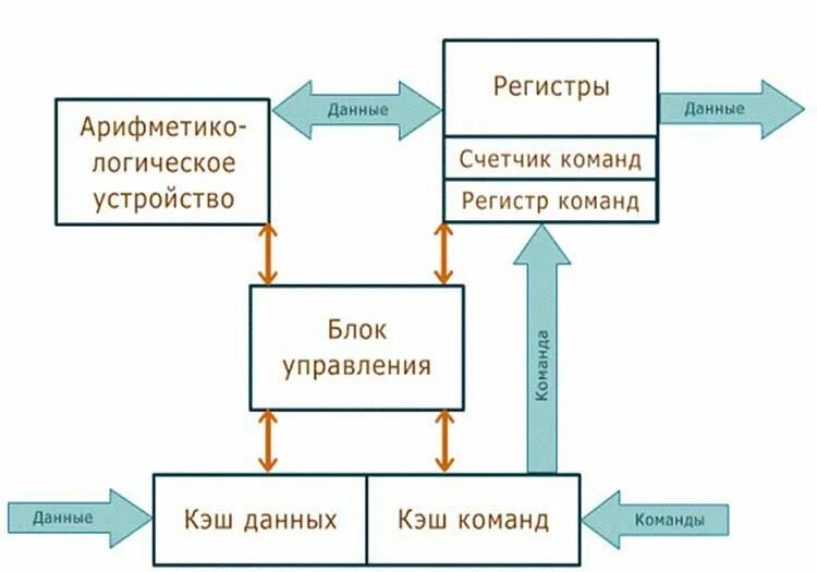 Как работает 10 класс. Структурная схема процессора. Схема работы процессора компьютера. Структурная схема компьютера процессор. Упрощенная структурная схема процессора.