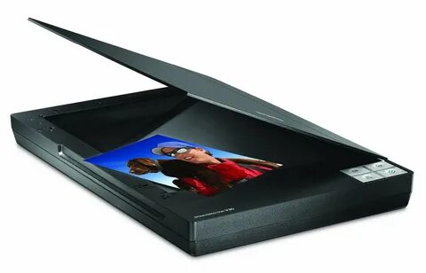 Epson v33