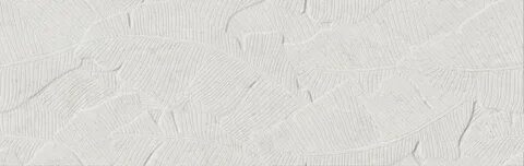 White 31