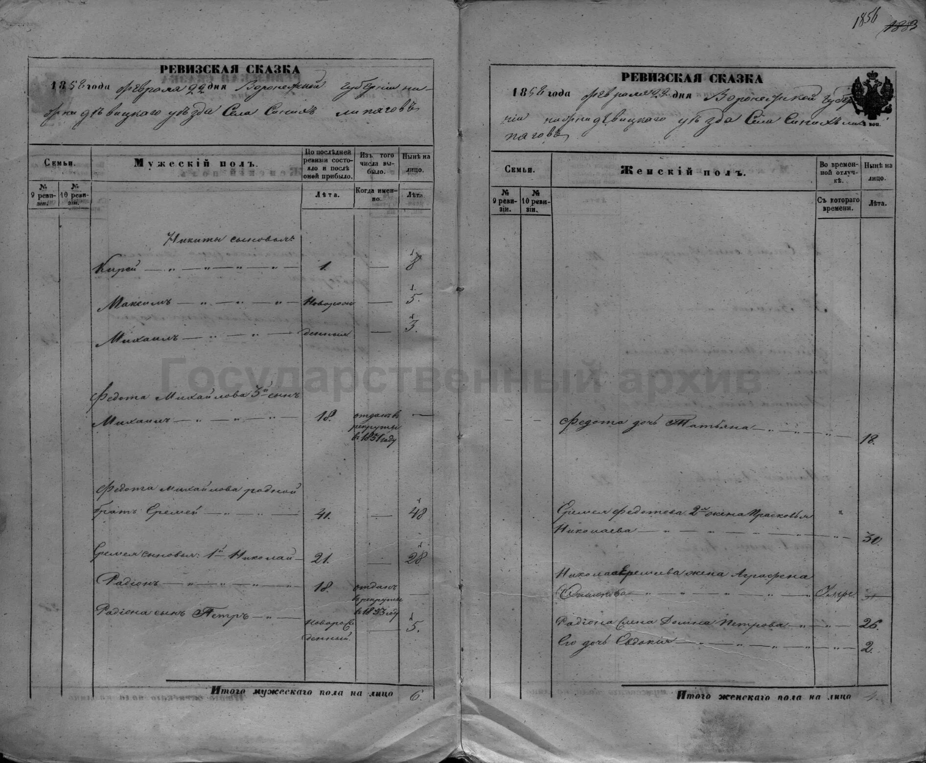 "ревизская сказка 1719 года". Синие липяги ревизские сказки. 10 ревизия в российской империи. 10 ревизия. 10 ревизия.