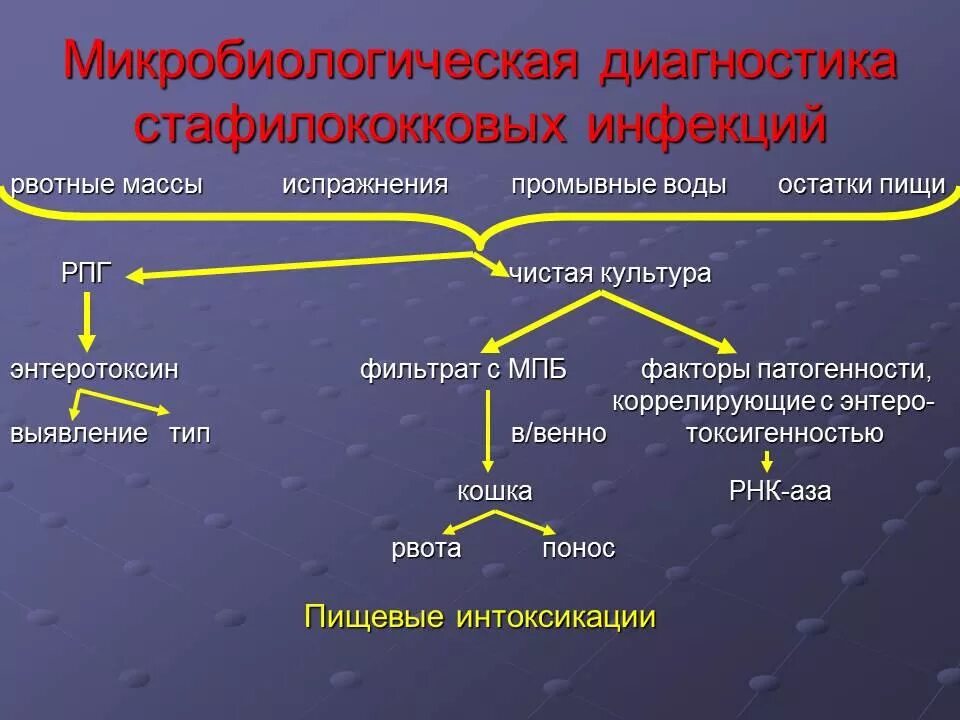 Формы стафилококковой инфекции. Микробиологическая диагностика стрептококковых инфекций. схема лабораторной диагностики стрептококковой инфекции. микробиологическая диагностика стрептококковой инфекции инфекции. стрептококки микробиология диагностика микробиология.