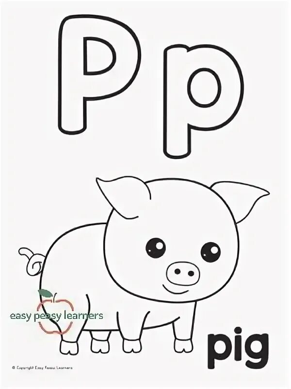 P is for. P is for pig. letter p pig. letter pp pig. letter to a pig.