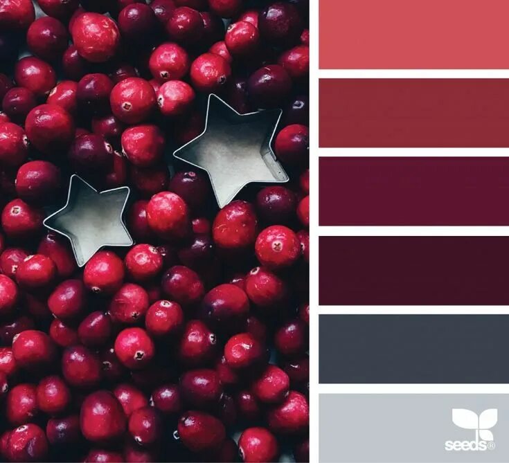 Цветовая гамма с бордовым Red and Dark Color palette design, Digital paint color, Flat color palette