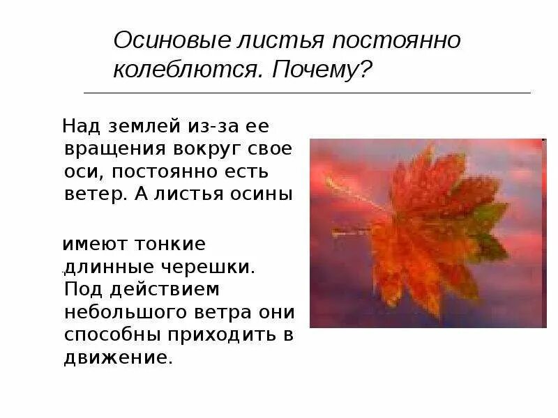 За лист составляет 1 1. Лист с текстом. народные приметы про лист осины. сочинение осиновый лист. зима физика и народные приметы.
