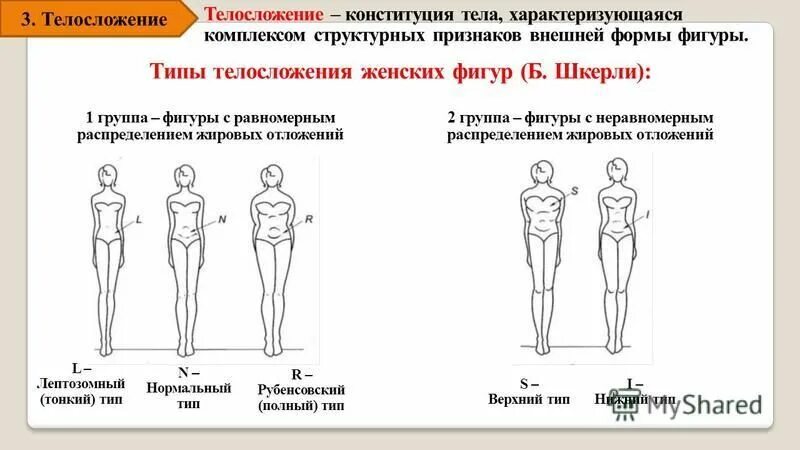 Верхний Тип фигуры. Тип фигуры и телосложения.. Типы телосложения у женщин. Фигура верхнего типа телосложения. Тип фигуры расчет