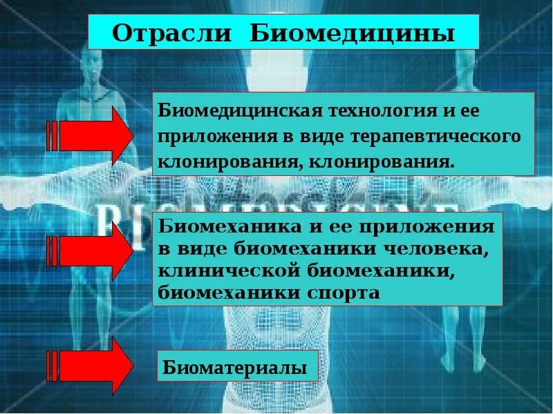 Биомедицина программа. Отрасли биомедицины. задачи биомедицины. цель биомедицины. биомедицина презентация.