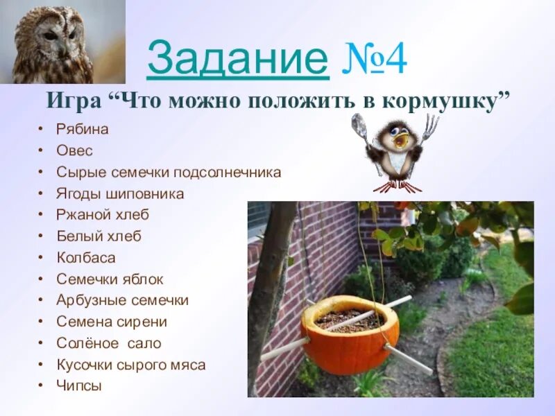 Что можно положить в кормушку. Что можно положить в кормушку белкам. Что можно класть в кормушку. Что можно положить в кормушку. Что класть в кормушку воробьям.