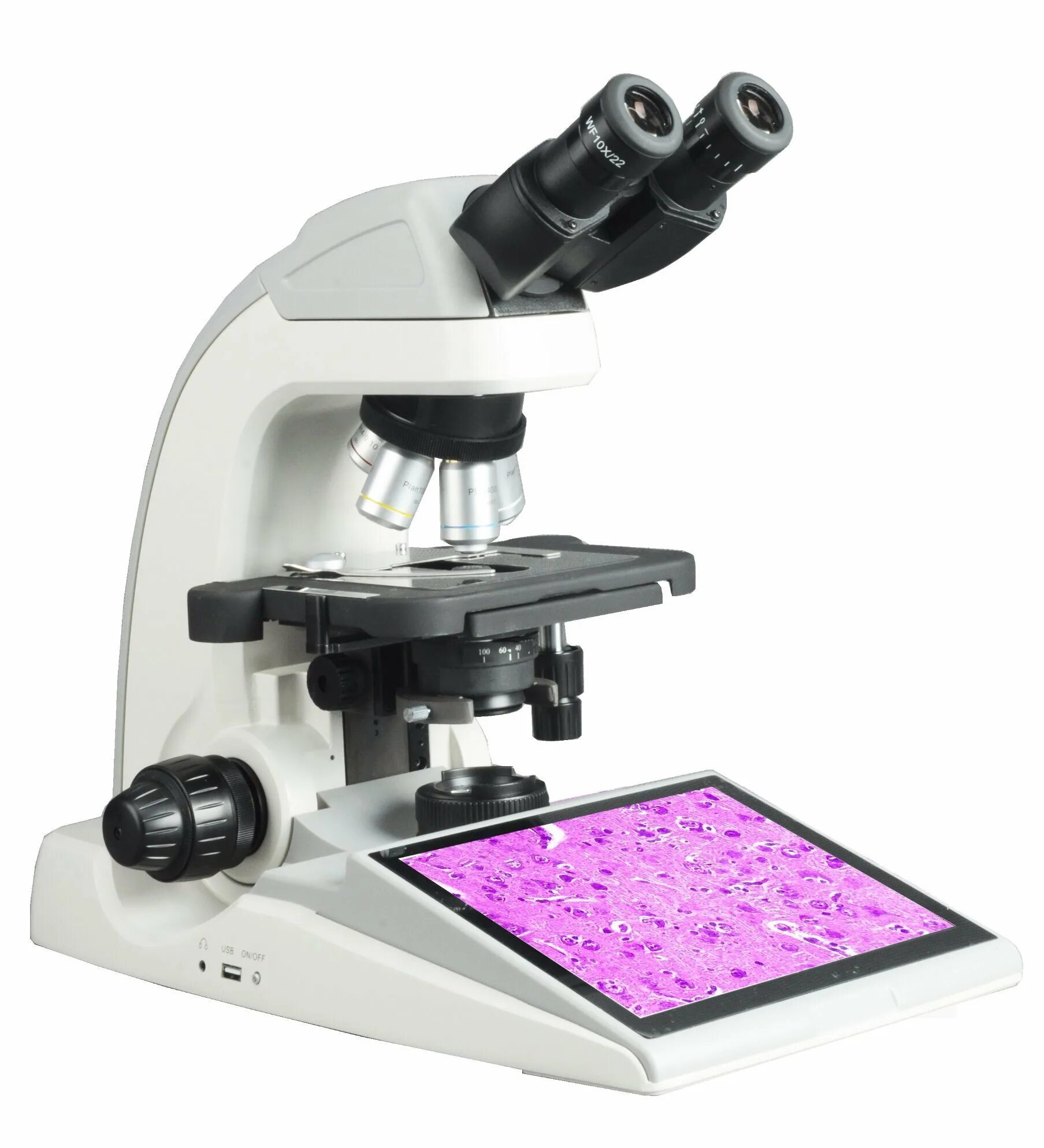 Лапки микроскопа. XTL-2300 микроскоп. Микроскоп мт5300lцена. Цифровой микроскоп Микромед. Микроскоп бинокулярный мт5300.