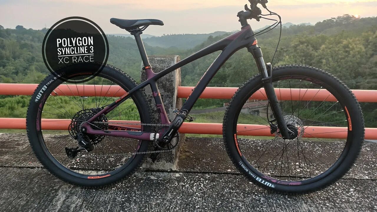 Polygon 8. Polygon syncline c5. polygon syncline c2 29. polygon siskiu t8. polygon syncline c3 2025.