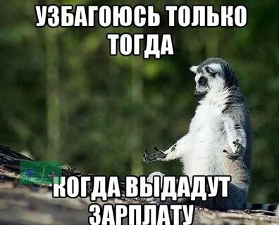 Картинка дайте зарплату