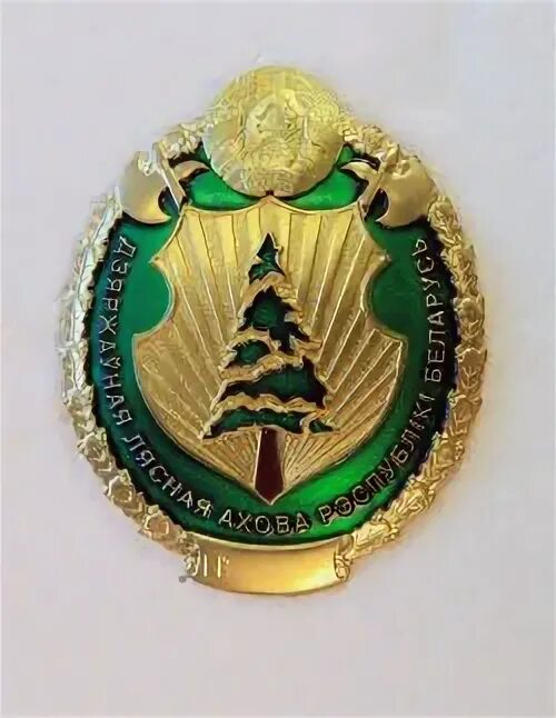 Герб лесная охрана. Герб минлесхоза. Министерства лесного хозяйства беларуси. Министерство лесного хозяйства рб. Минлесхоз рб эмблема.