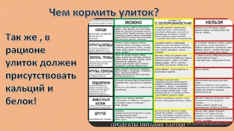 Таблица питания улиток ахатин. Таблица кормления улиток. Ахатина питание список продуктов. Улитки рацион питания