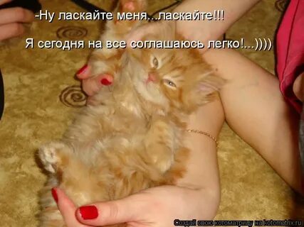 Ласкай меня видео