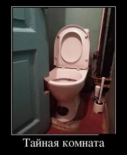 Недавно приобрел