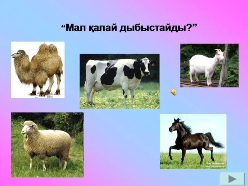 Әже мен бала. Адеп ахлак. Ойын технологиясы презентация. Жүген фото. Жүген+деген+не.