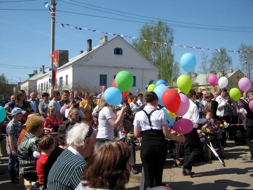 бежаницкий ресторан. погода рп бежаницы. бежаницы псковская область. день поселка бежаницы. красное солнце бежаницкий район псковская область.