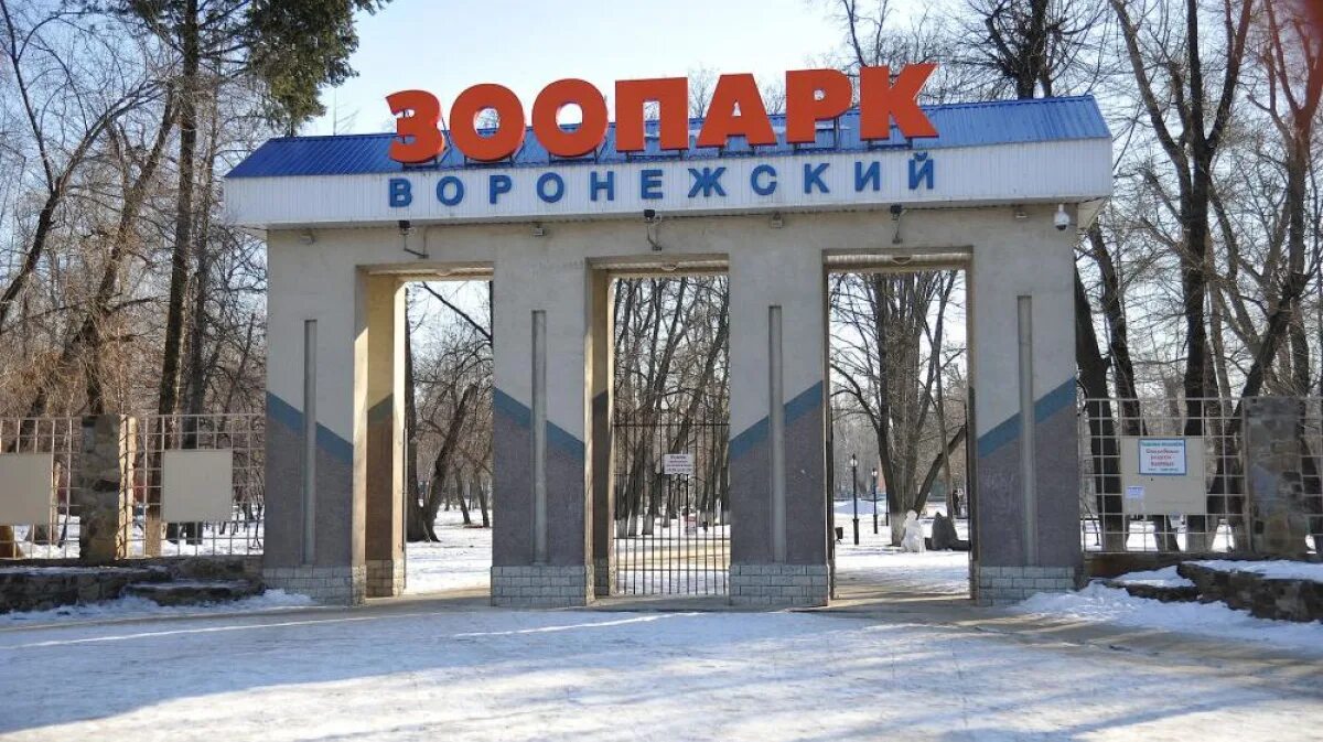 Зоопарк попова. Зоопарк Попова Воронеж. Парк Авиастроителей Воронеж зоопарк. Парк Полины Осипенко Воронеж. Воронеж зоосад.