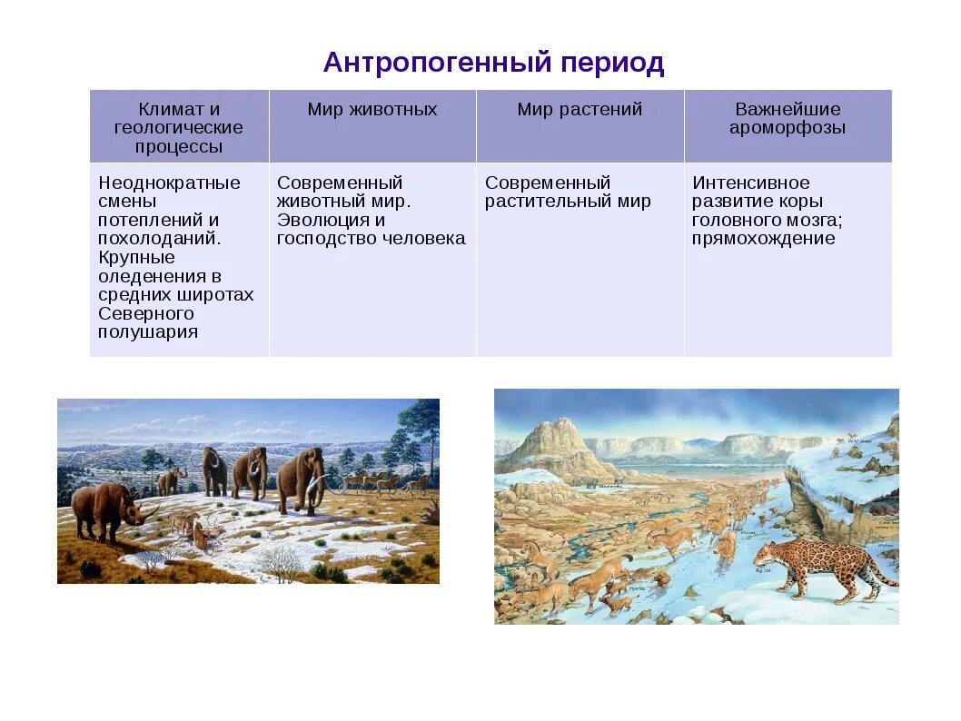 Кайнозойская период таблица. Антропоген растительный мир и животный мир таблица. кайнозой четвертичный период антропоген. четвертичный период кайнозойской растения.
