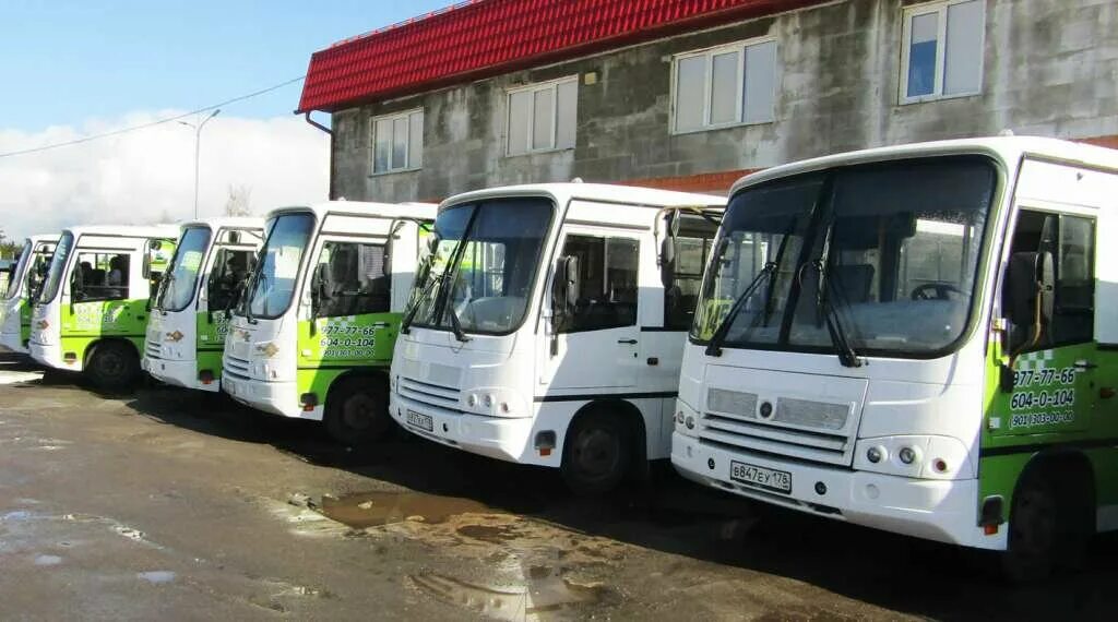 автотранспортное предприятие 149 тихвин. диспетчер пальмира тихвин. автобусный парк пальмира. ооо пальмира тихвин. пальмира транспортная компания тихвин.