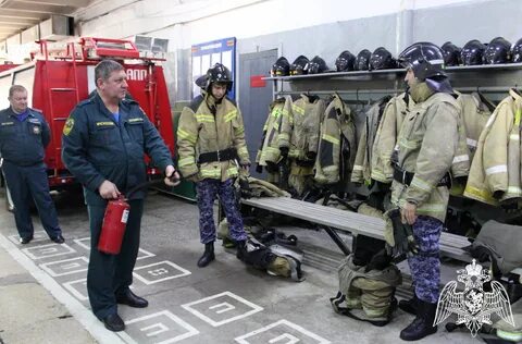 Мчс в росгвардию