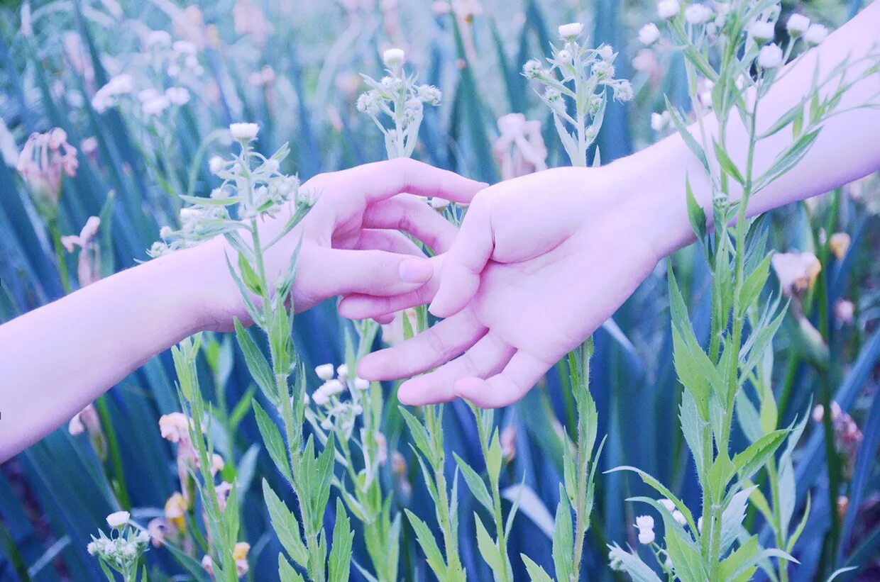 цветы и руки эстетика. девушка касающаяся цветов. девушка трогает цветы. девушка на природе. красивые женские руки.