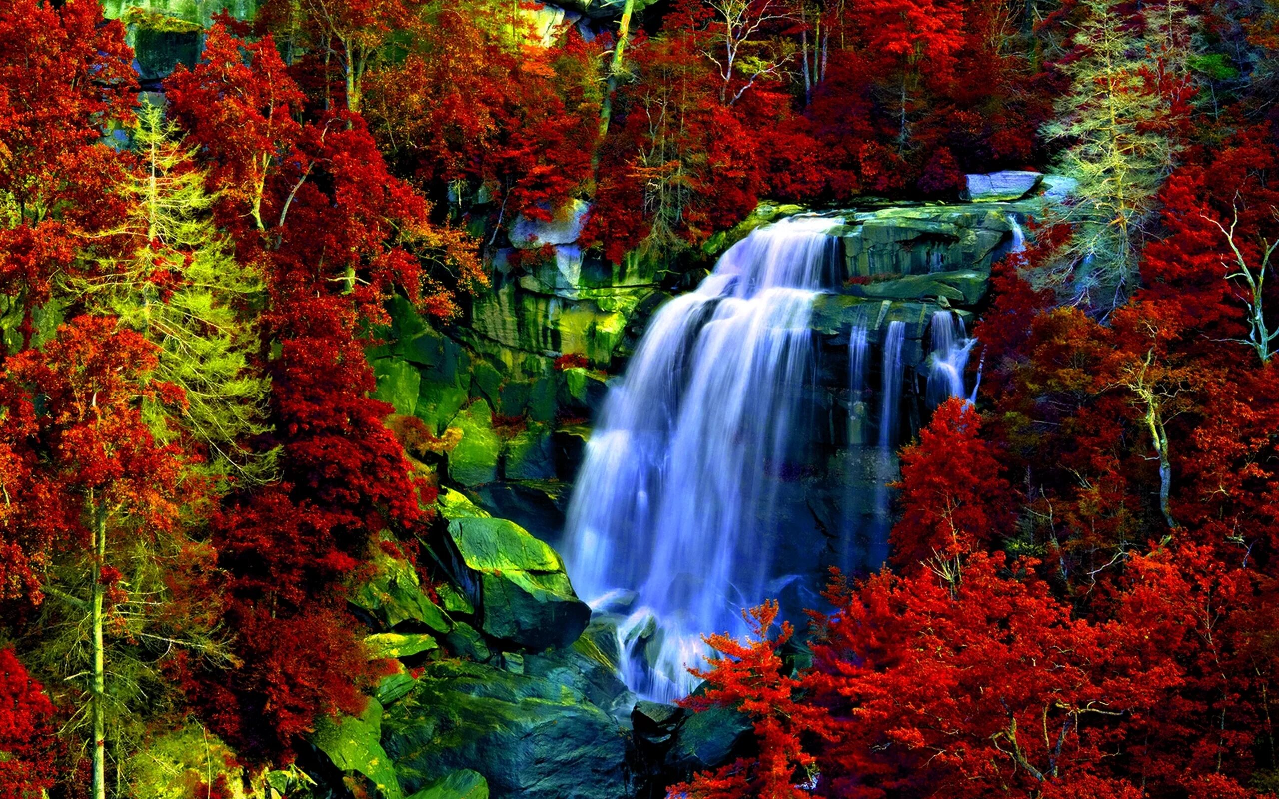 Табиат манзараси. Природа. Красивые водопады. Живая природа водопады. Живые обои высокого качества на телефон