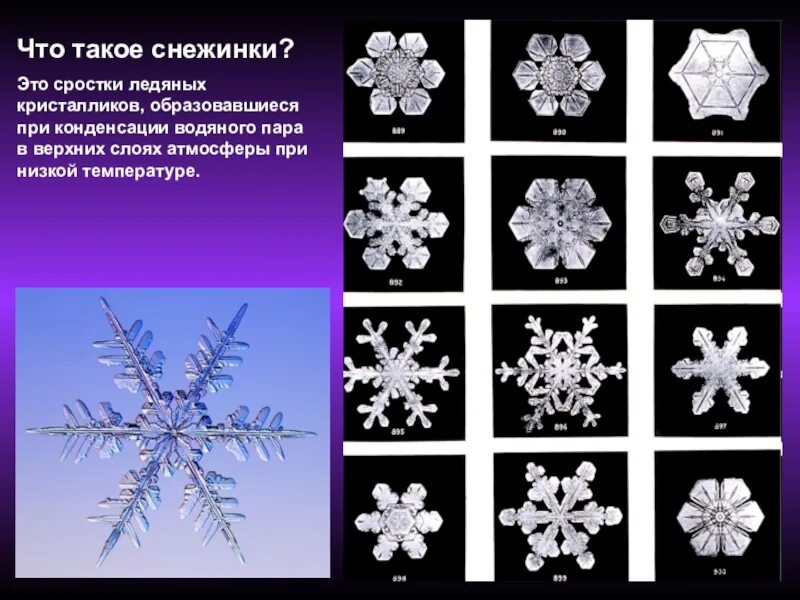 Почему снежинки разные. Разнообразие снежинок. Разные снежинки. Строение снежинки. Формы снежинок.