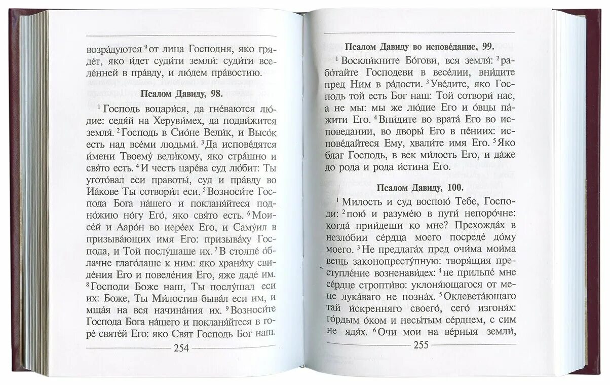 Каноны псалтыря. Псалтирь и каноны чтомые по усопшим. Книга Псалтирь и каноны по усопшим. Псалтирь по усопшим читать. Молитвы и каноны чтомые по усопшим книга.