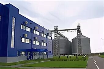 Bunge на 30% снизила прогноз прибыли - Агроинвестор