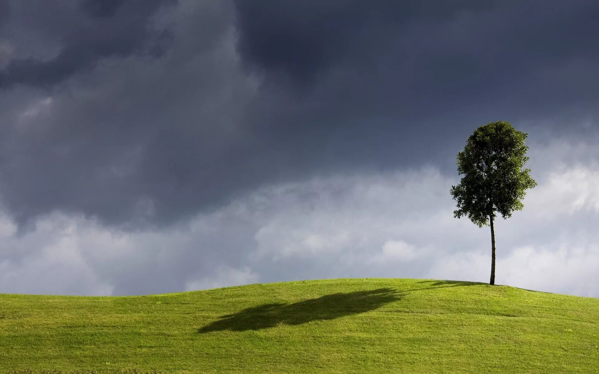 Одинокий холм. Минимализм природа. Одинокое дерево на Холме. Пейзаж Минимализм. Одинокое дерево в поле.