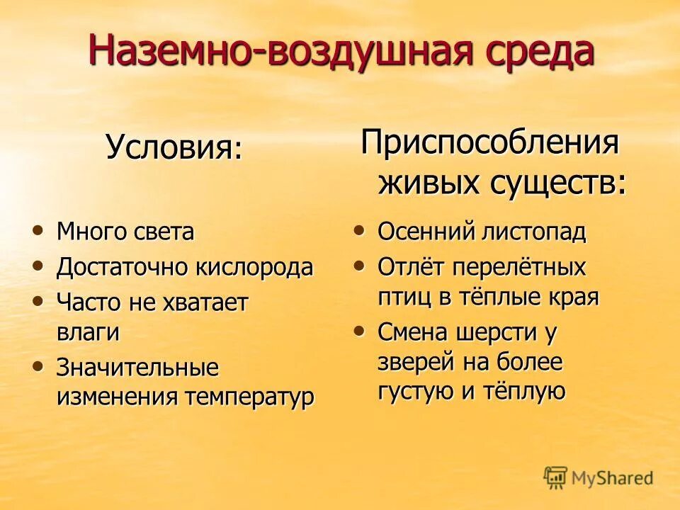 Представители наземно-воздушная среда биология 5 класс. Характеристика наземно-воздушной среды обитания 5 класс биология. Почвенная и организменная среда обитания. Наземно воздушная среда обитания виды. Наземно воздушная среда обитания виды.