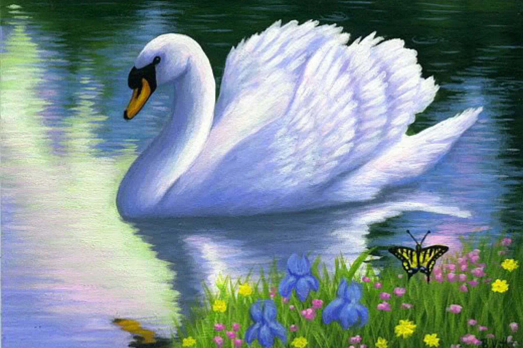 Белый лебедь произведение. Картина "лебеди". Лебеди на пруду живопись. Лебедь рисунок. Лебеди на озере с кувшинками.