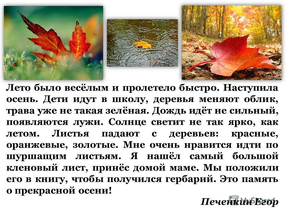 Лето пролетело слова. Сочинение про осень. Сочинение по теме осень. Наступила осень сочинение. Я люблю осень сочинение.